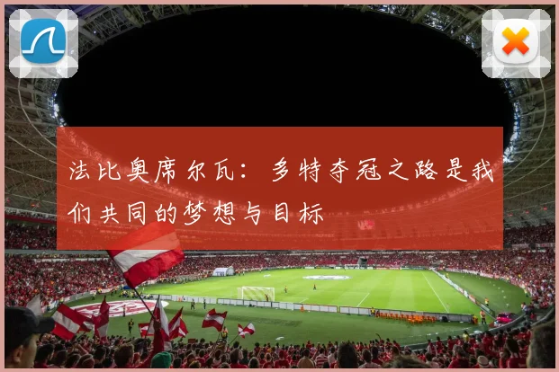 法比奥席尔瓦:多特夺冠之路是我们共同的梦想与目标