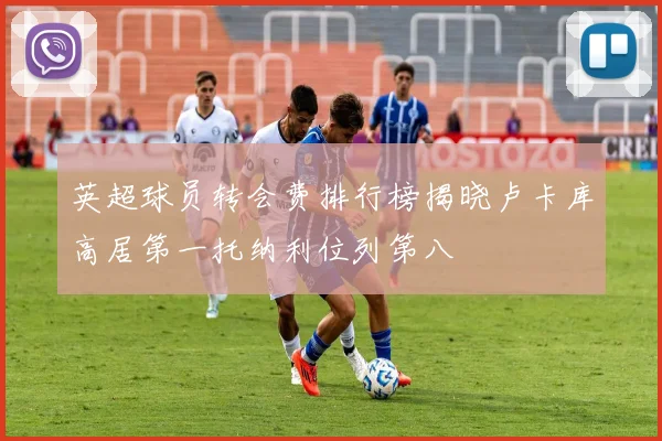 英超球员转会费排行榜揭晓卢卡库高居第一托纳利位列第八